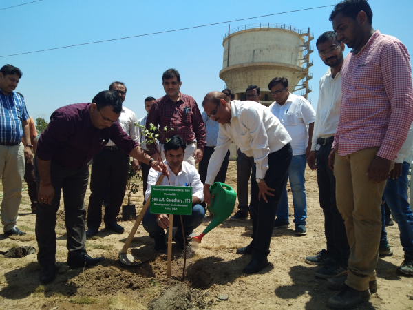 Plantation at Dahej SEZ by DC - Dahej SEZ