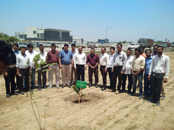 Plantation at Dahej SEZ